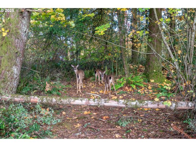 200 STUDEBAKER SPUR 3, Castle Rock, WA 98611