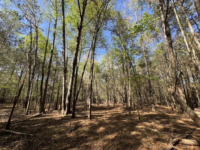 TBD County Road 3930, Colmesneil, TX 75938