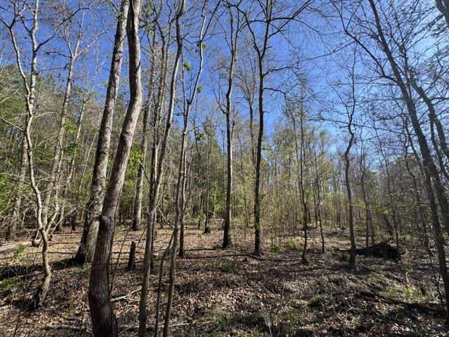 TBD County Road 3930, Colmesneil, TX 75938