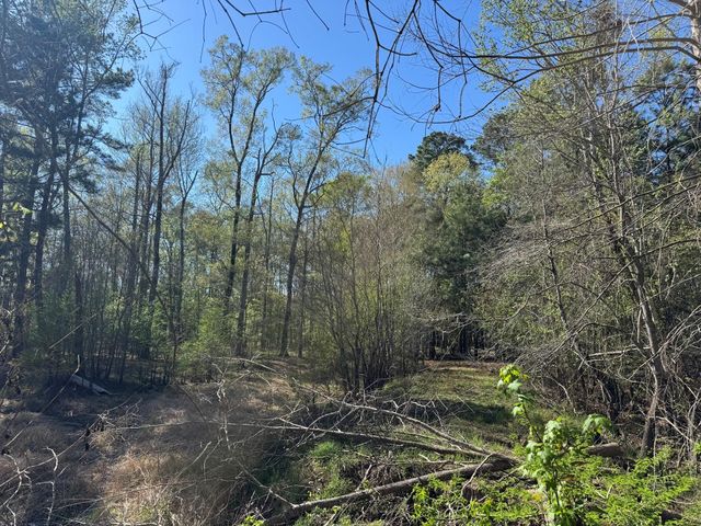 TBD County Road 3930, Colmesneil, TX 75938