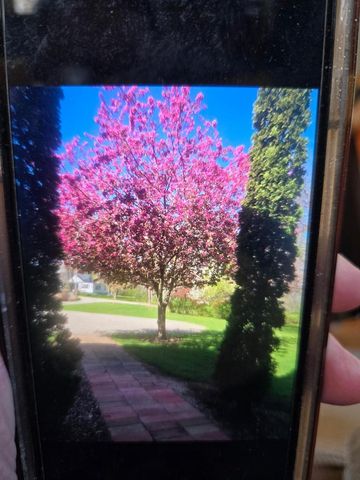 2190 CARLETON AVENUE, Appleton, WI 54915