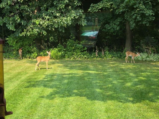 2190 CARLETON AVENUE, Appleton, WI 54915