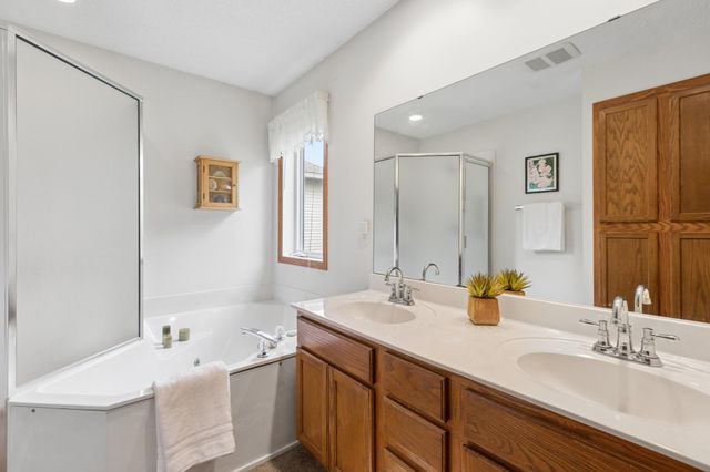 13382 43rd Alcove NE, Saint Michael, MN 55376