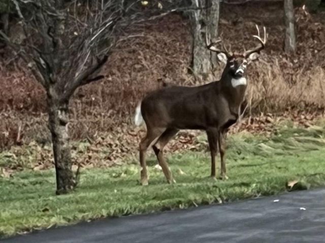 S2051 Park Lane Circle, Reedsburg, WI 53959