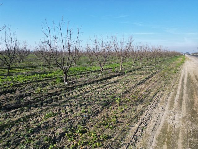 11227 S Academy Avenue, Selma, CA 93662