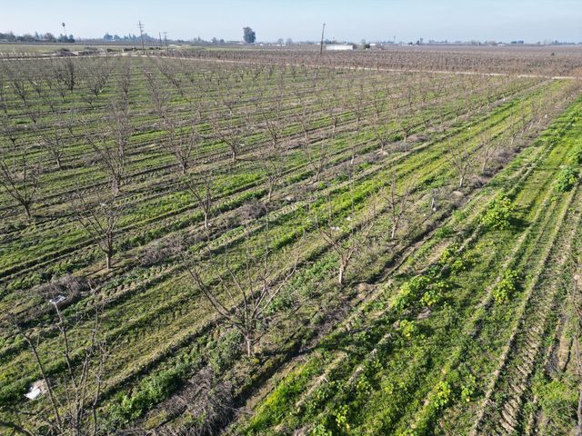 11227 S Academy Avenue, Selma, CA 93662