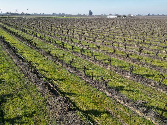 11227 S Academy Avenue, Selma, CA 93662