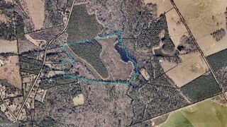 0 Harvey Wilson Road, Statesboro, GA 30458