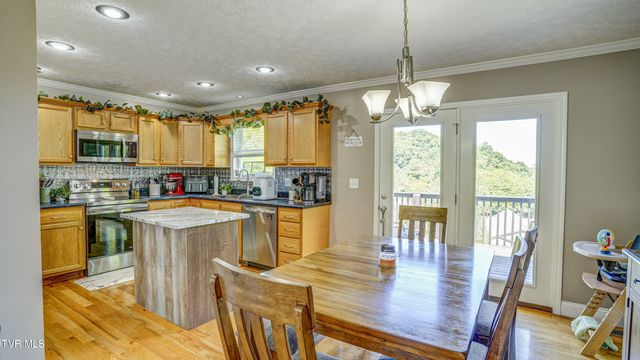 3920 Thornton Drive, Kingsport, TN 37664