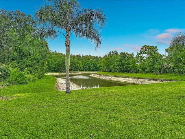 1521 BAYTHORN DRIVE, Wesley Chapel, FL 33543