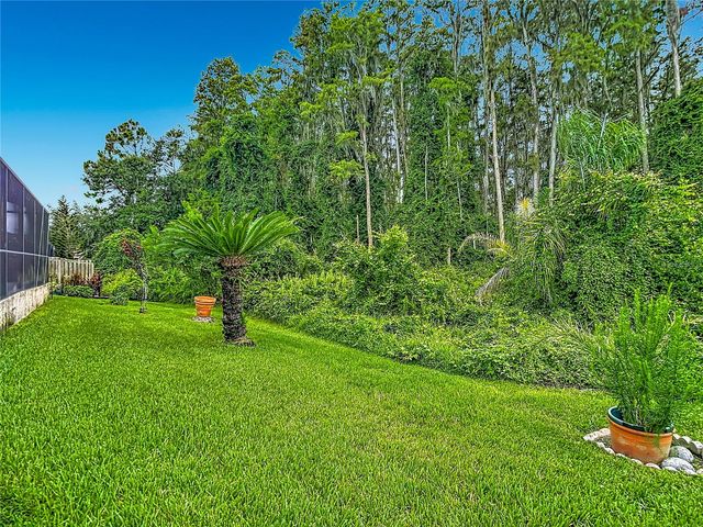 1521 BAYTHORN DRIVE, Wesley Chapel, FL 33543