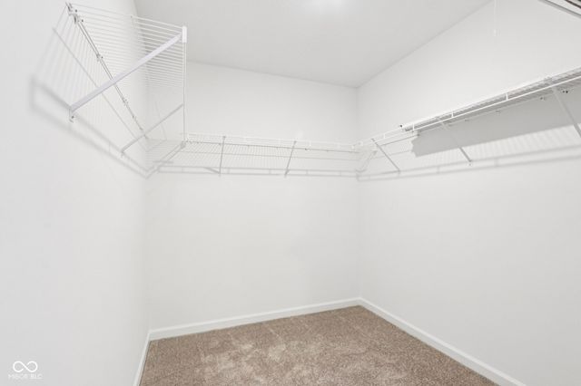 16054 Meadow Frost Court, Fishers, IN 46037