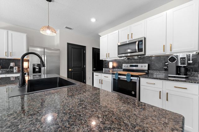 10828 TRAILING VINE DRIVE, Tampa, FL 33610