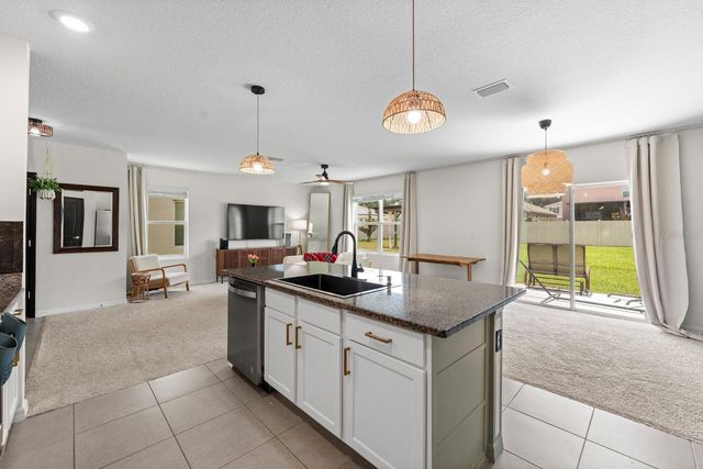 10828 TRAILING VINE DRIVE, Tampa, FL 33610