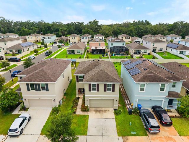 10828 TRAILING VINE DRIVE, Tampa, FL 33610