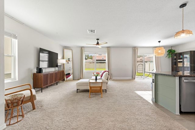 10828 TRAILING VINE DRIVE, Tampa, FL 33610