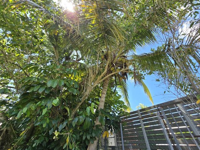 R13 NEBRASKA, Guaynabo, PR 00969