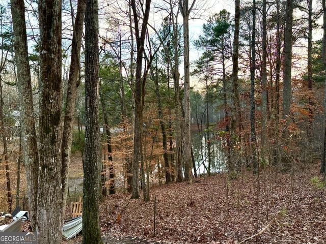 134 Rustica Drive, Newnan, GA 30263