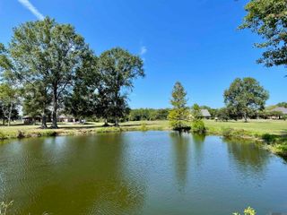 841 Poydras Bayou Dr, Port Allen, LA 70767