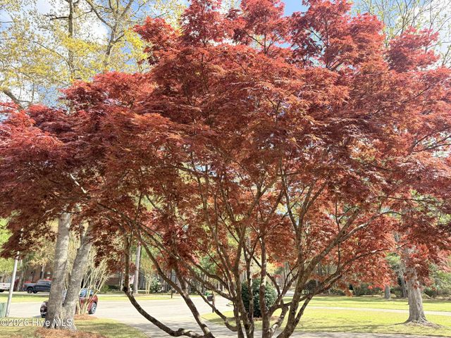 3305 Peppercorn Road, New Bern, NC 28562