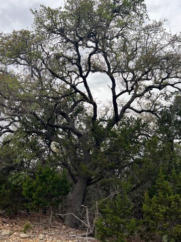 lot 67 Broken Spoke 5 Acres, Canyon Lake, TX 78133