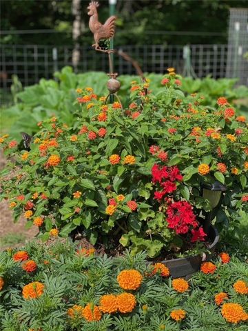 13176 Kimberlyn Hills Lane, Rogers, AR 72756