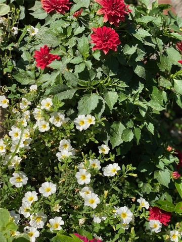 13176 Kimberlyn Hills Lane, Rogers, AR 72756