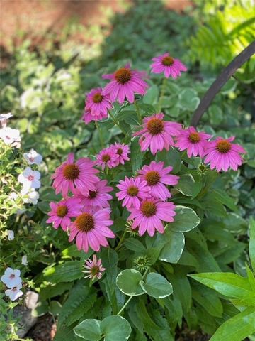 13176 Kimberlyn Hills Lane, Rogers, AR 72756