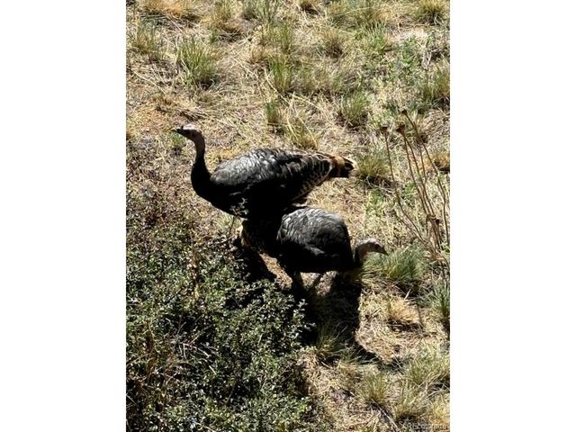 677 Sky Trail Rd, Boulder, CO 80302