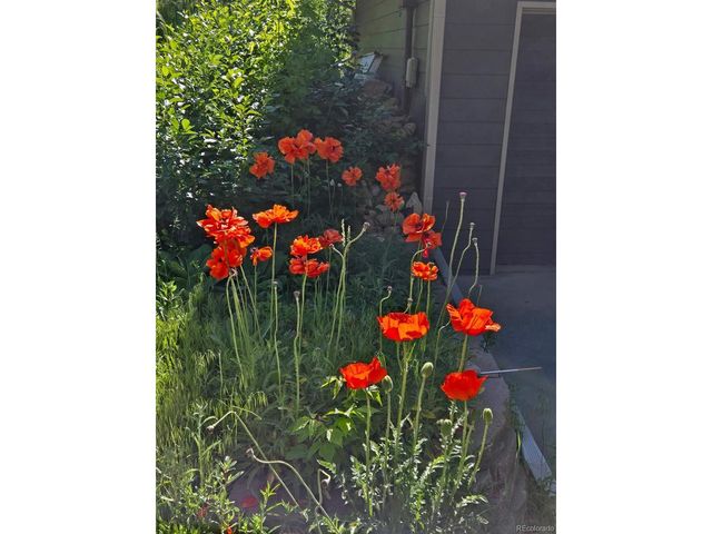 677 Sky Trail Rd, Boulder, CO 80302