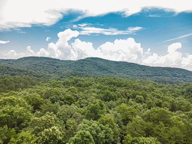 83 Acres Cutcane Road, Mineral Bluff, GA 30559