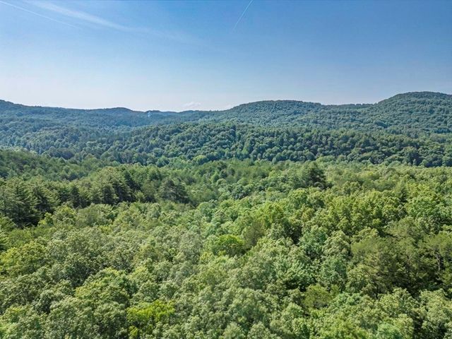 83 Acres Cutcane Road, Mineral Bluff, GA 30559