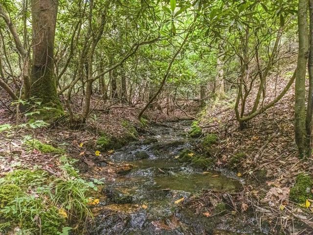 83 Acres Cutcane Road, Mineral Bluff, GA 30559