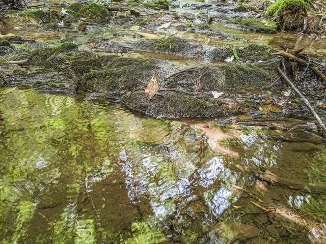 83 Acres Cutcane Road, Mineral Bluff, GA 30559