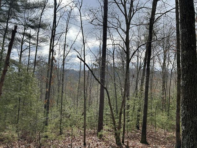 83 Acres Cutcane Road, Mineral Bluff, GA 30559