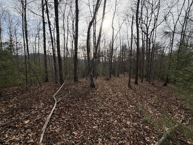 83 Acres Cutcane Road, Mineral Bluff, GA 30559