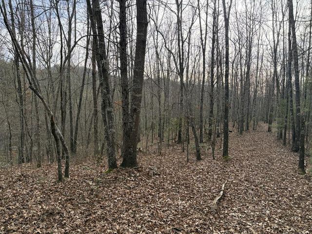 83 Acres Cutcane Road, Mineral Bluff, GA 30559