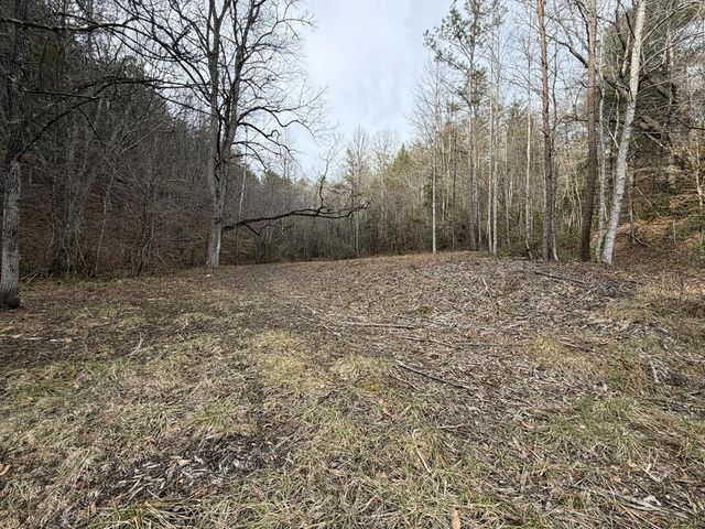 83 Acres Cutcane Road, Mineral Bluff, GA 30559