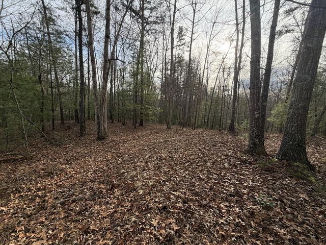 83 Acres Cutcane Road, Mineral Bluff, GA 30559