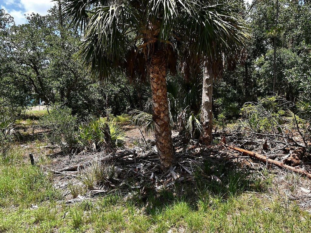HAWKSBILL AVENUE, North Port, FL 34291