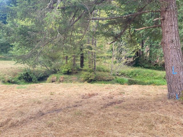 003 Pomeroy Hollow Road, Freshwater, CA 95503