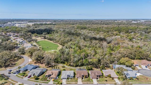 9525 SPRINGMEADOW DRIVE, New Port Richey, FL 34655