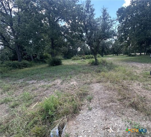 1031 Hollybrook Drive, Inez, TX 77968