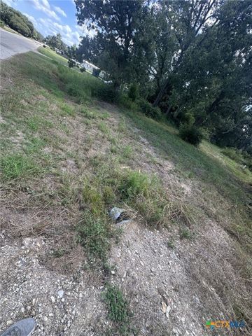 1031 Hollybrook Drive, Inez, TX 77968