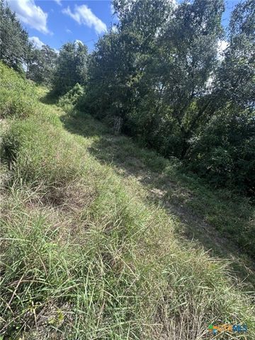 1031 Hollybrook Drive, Inez, TX 77968