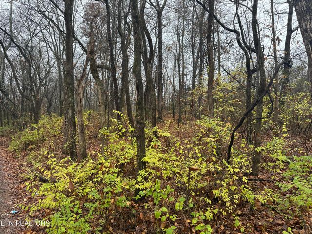 174 Veterans Rd, Sweetwater, TN 37874