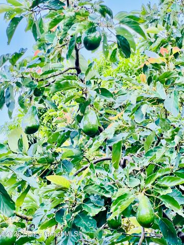 317 Lanack Road SE, Palm Bay, FL 32909