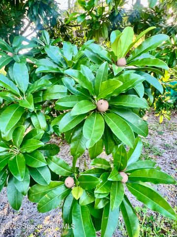 317 Lanack Road SE, Palm Bay, FL 32909