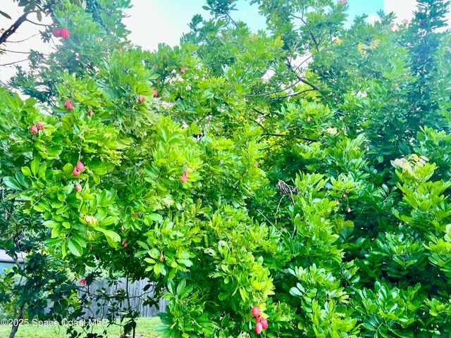 317 Lanack Road SE, Palm Bay, FL 32909