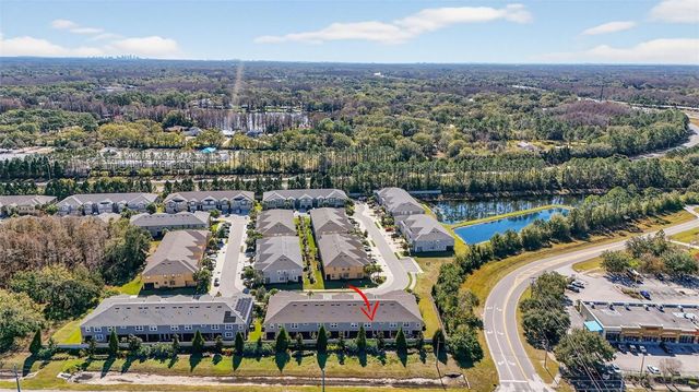 6050 GRAND SONATA AVENUE, Lutz, FL 33558